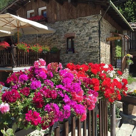 B&B Vinicola23 Limone Piemonte Oda fotoğraf
