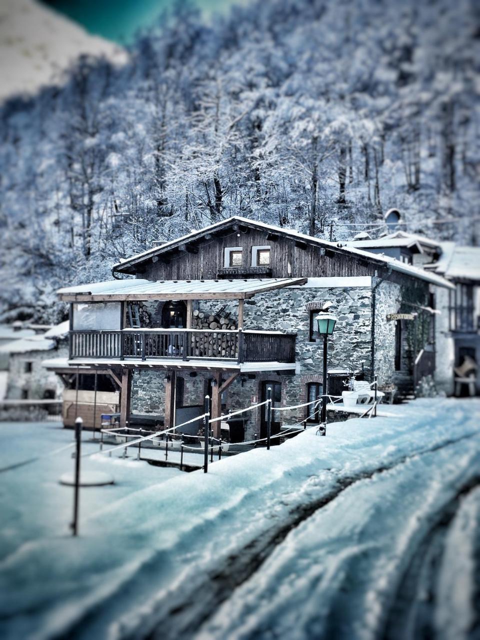 B&B Vinicola23 Limone Piemonte Dış mekan fotoğraf