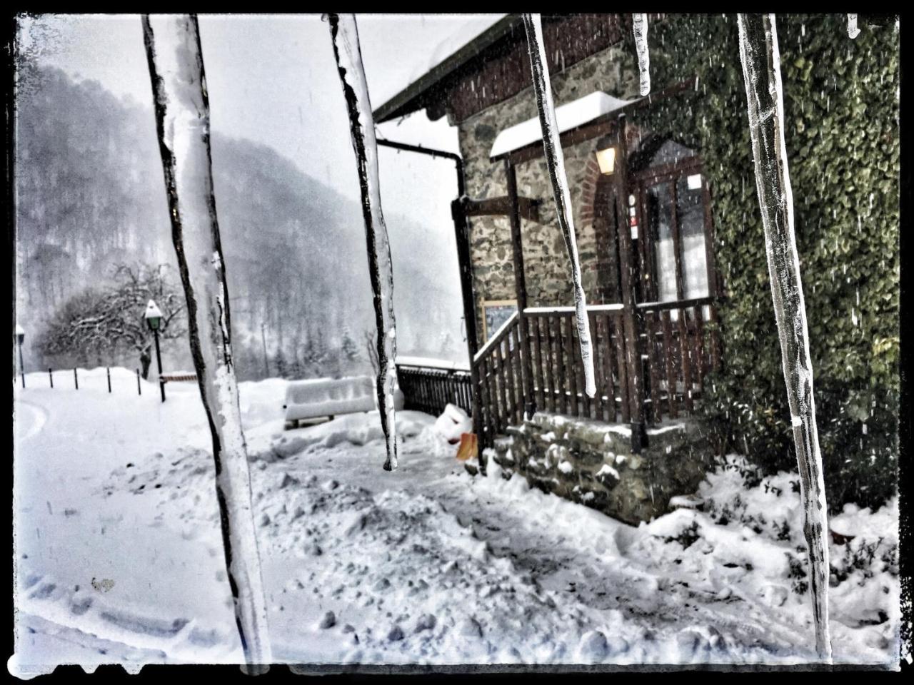 B&B Vinicola23 Limone Piemonte Dış mekan fotoğraf