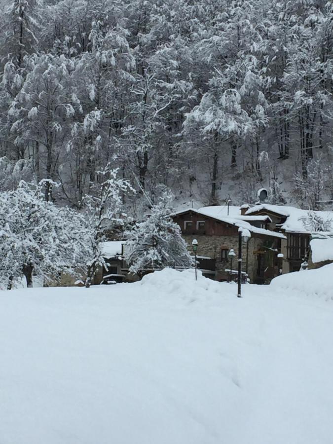 B&B Vinicola23 Limone Piemonte Oda fotoğraf